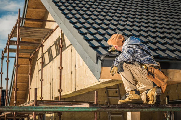 Best Roof Gutter Cleaning  in Trafford, PA