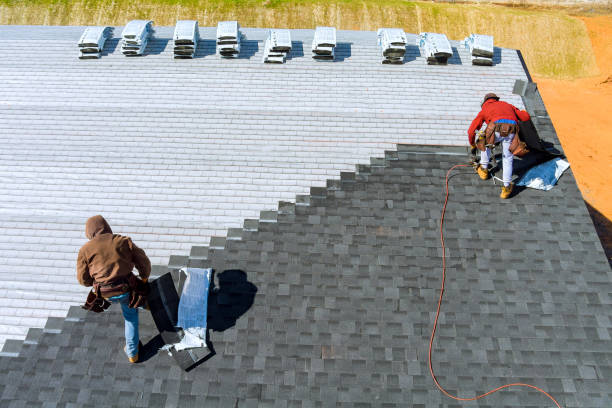 Best Storm Damage Roof Repair  in Trafford, PA